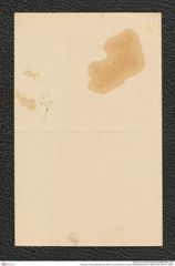 Nachlass Franz Steindachner, Brief von Conrad Will an Franz Steindachner (06.10.1890), Inv.Nr. 597.01, Seite 4